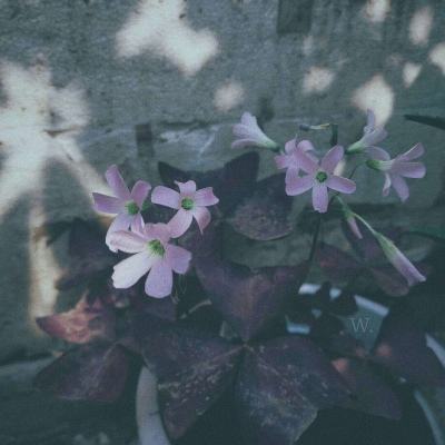 万博ManBetX登录网页版