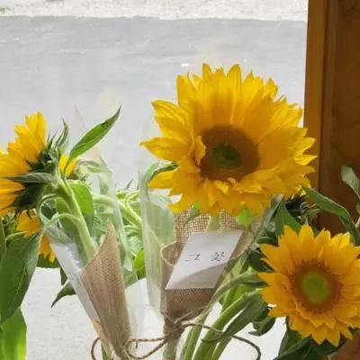 NG体育·(南宫)官方网站